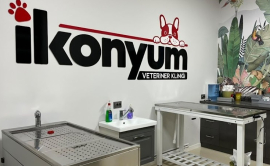 İKONYUM VETERİNER KLİNİĞİ | KONYA VETERİNER-MERAM VETERİNER-SELÇUKLU VETERİNER-KARATAY | ACİL-7/24 NÖBETÇİ VETERİNER KLİNİĞİ